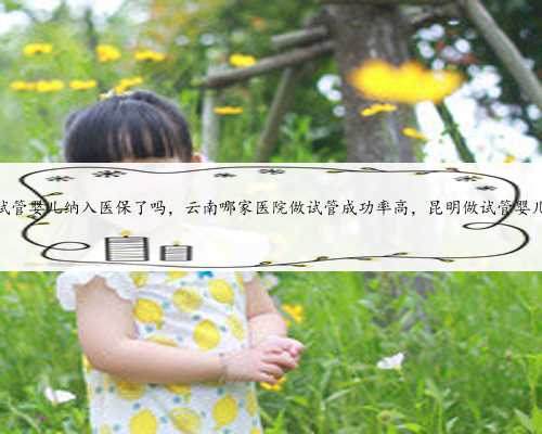 云南省试管婴儿纳入医保了吗，云南哪家医院做